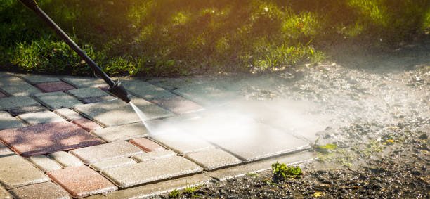 Solar Panel Cleaning in Belle Mead, NJ